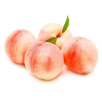 leyu乐鱼全站乐鱼官方版最新:幼儿交1300部 - MBA智库百科